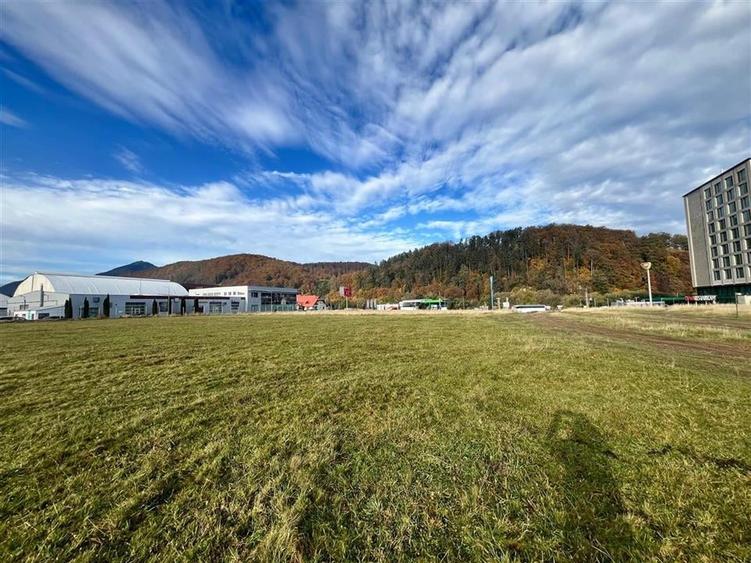 TEREN INTRAVILAN DEOSEBIT , BUNLOC, SACELE - 2