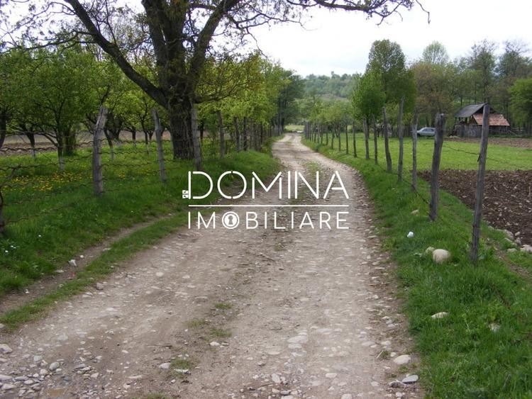 Inchiriere loturi de teren in Comuna Runcu – sat Sanatesti - 2