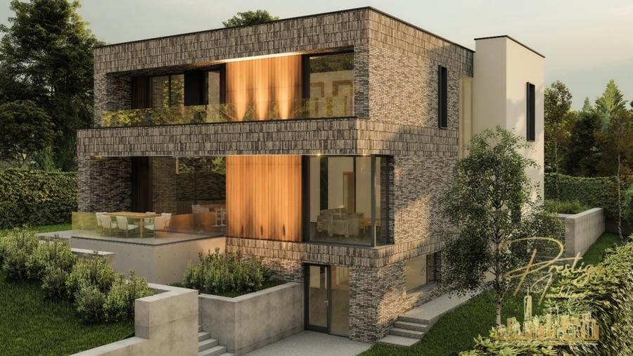 Teren 858 mp cu proiect de casa si PUZ Aprobat de vanzare in Faget - 2