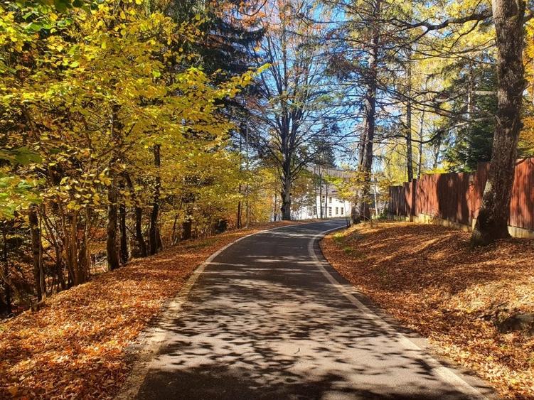 Teren Construcții intravilan de 2000 mp, în Poiana Brașov - 1