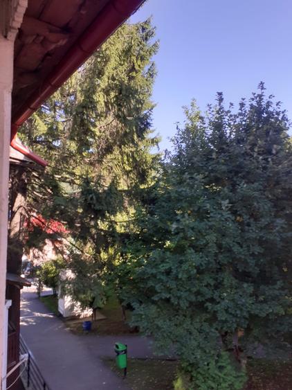 Apartament in vilă+garsoniera+teren centru - 15