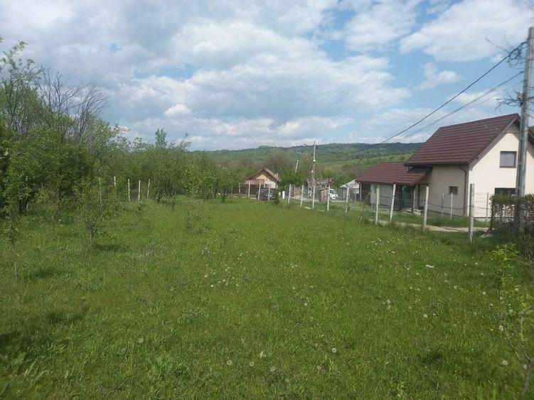 Teren intravilan 1700 mp - Drajna de Jos, Poiana Mierlei 15/mp, neg - 8