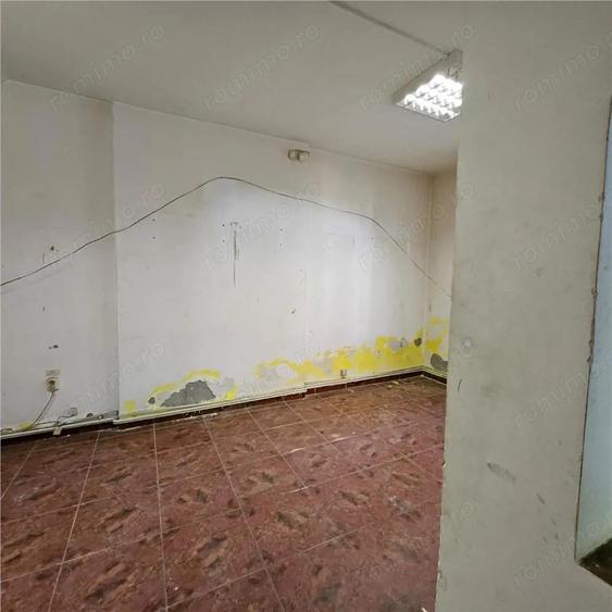 Doua case vecine, cu vad, in Bucure #537;ti, Tineretului, Parcul Carol - 3