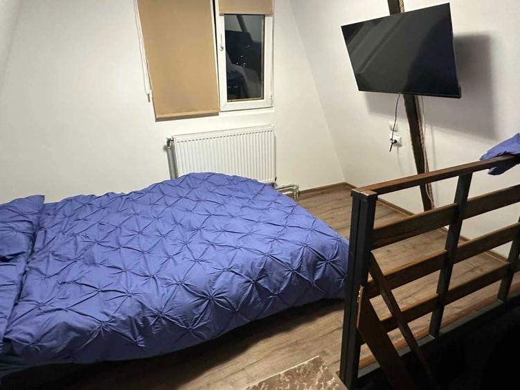 Casuta de pe Vale - Iapa, Sighetul Maramtiei, Maramures - 3