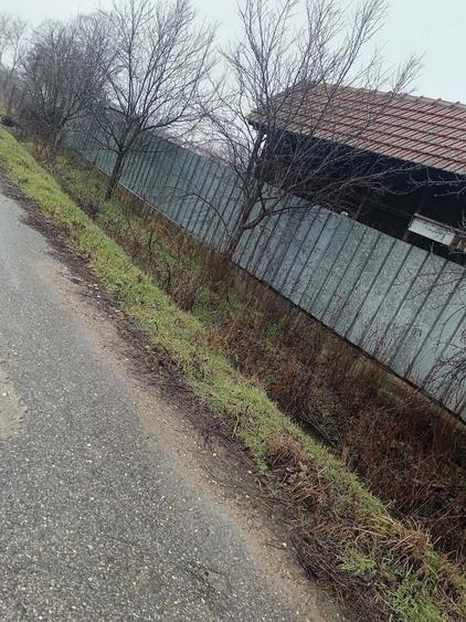 Proprietate cu 2 case, livada, vie ?i teren 1450 mp - 10