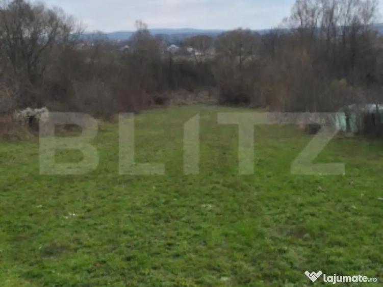 Teren intravilan 3000mp ,sat Plopu, Prahova - 4