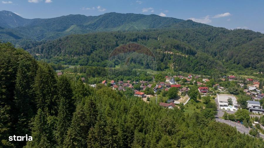 TTeren intravilan, 3500 mp, Dambu Morii - 5