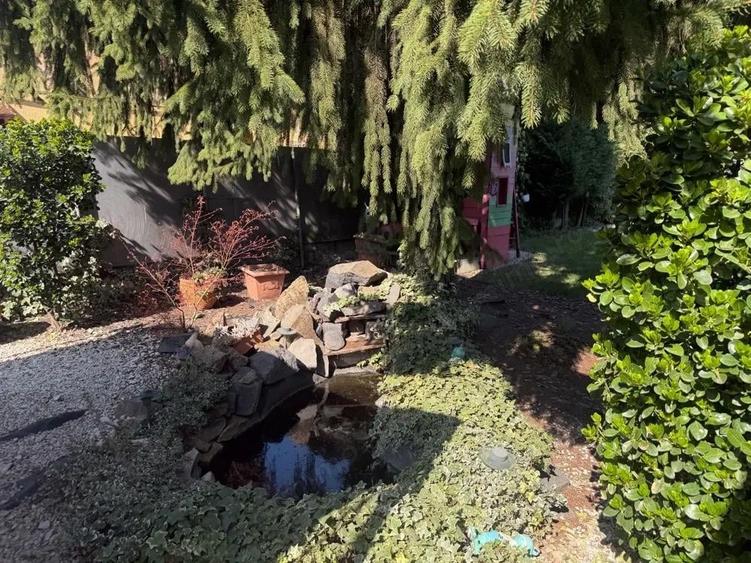 vand casa cocheta Fratelia 240000 euro - 5