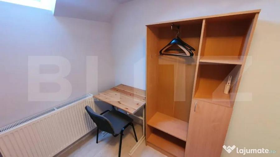 Apartament la casa,1 camera, 30 mp, zona strazii Artelor - 4