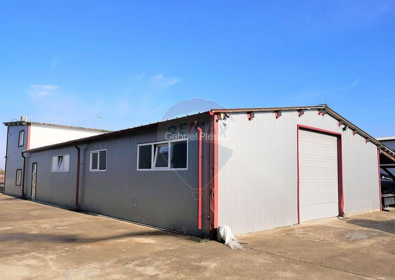 Hala Industriala, Parcul Industrial, Bor?, De Inchiriat