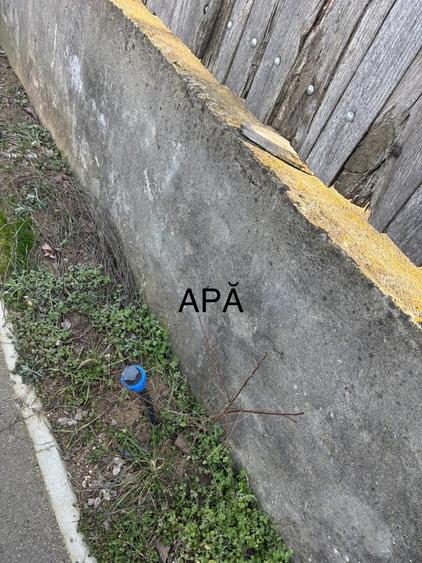 PROPRIETAR - Vand teren + casa comuna Dascalu - 8