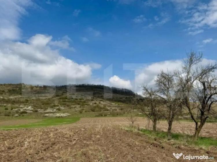 Teren intravilan de vanzare, 1500 mp, zona ?oimu? - 3