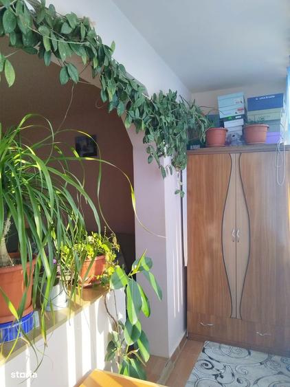 Apartament 2 camere, zona Nord, Cibinului (IDT516) - 6