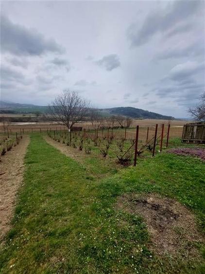 Casa de vanzare cu gradina aproape de Onesti - 9