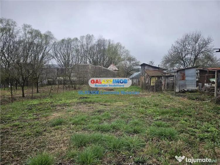 Casa batraneasca 750mp teren Viforata Comuna Aninoasa - 7