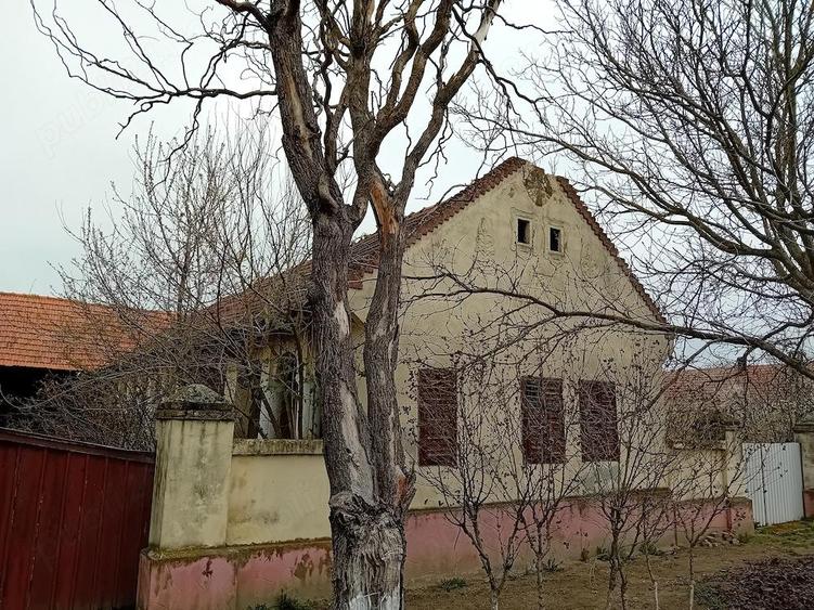 Vand casa cu gradina mare in Hitia? - 1