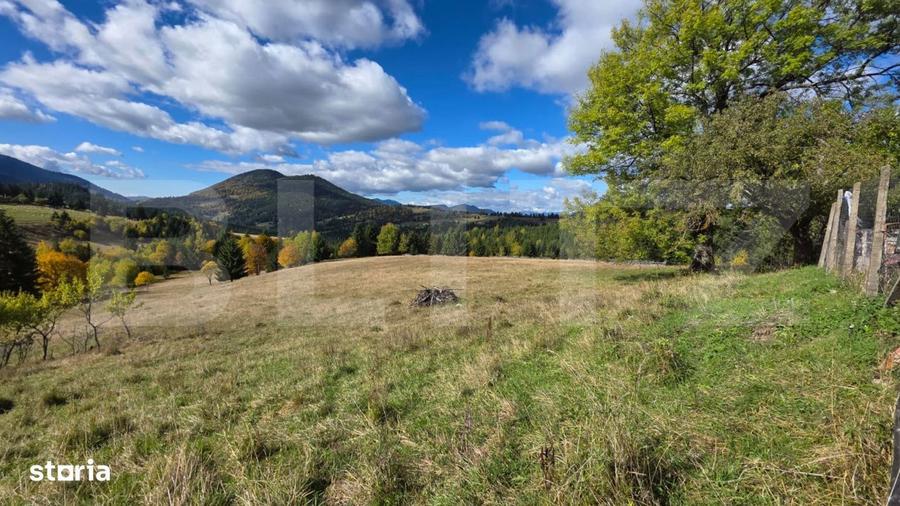 Teren 1,5 hectare - la Piatra Fantanele - 2