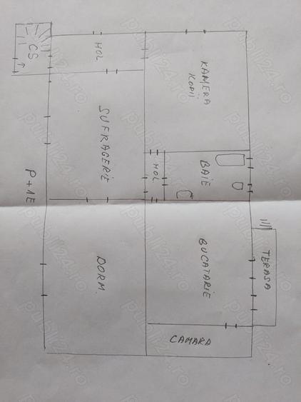 Casa mare de vanzare in Calea Sagului - 3