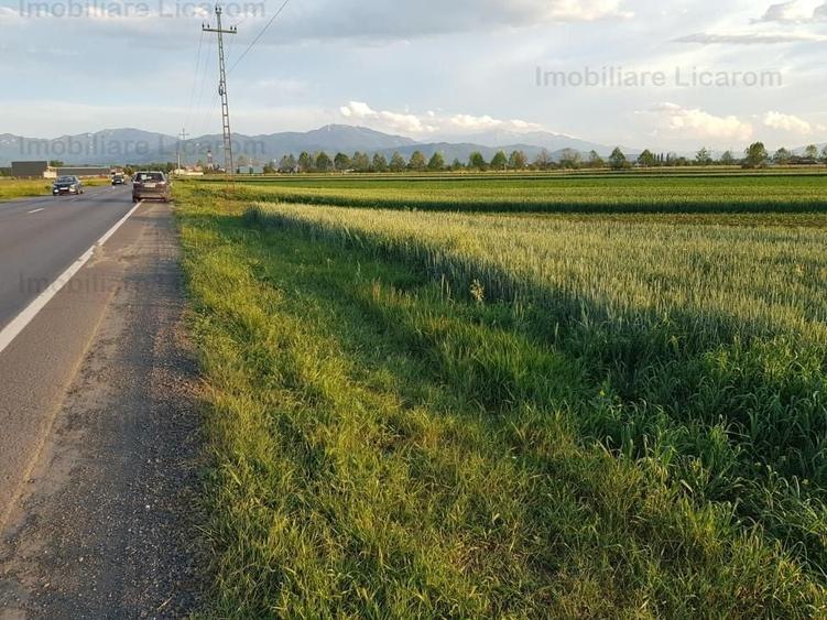 Teren Stupini Calea Feldioarei 4600 mp,22 euro/mp, front la asfalt - 1