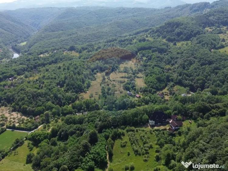 CASTEL DE VANZARE IN MARAMURES - 10