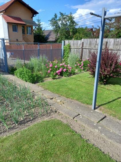 Casa 3 anexe Sacele ultracentral - 6