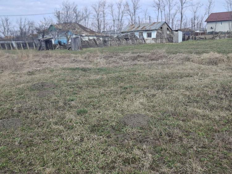 Gradina - Loc de casa - Gorbanesti - 2200 m2 - 3