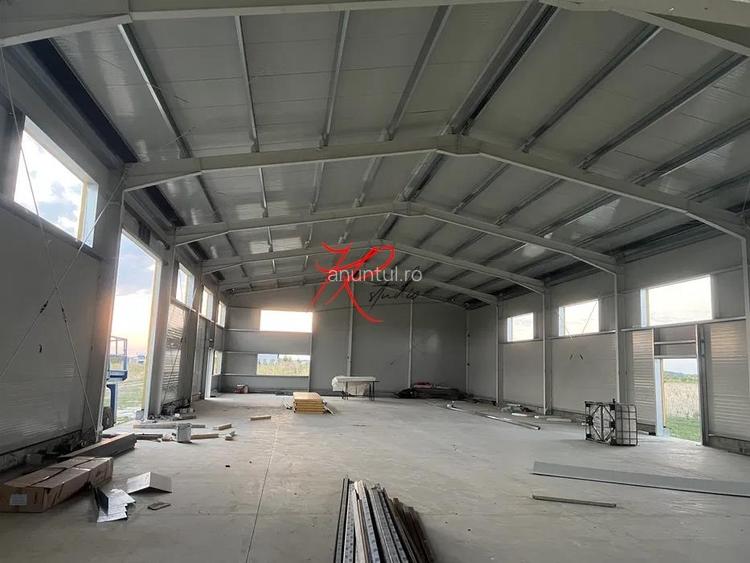 Vanzare Hala Noua Dascalu, plus teren