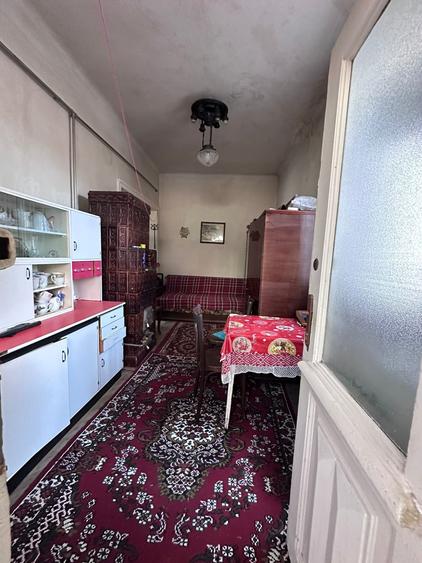 Parcul Carol, apartament 2 camere la curte - 8