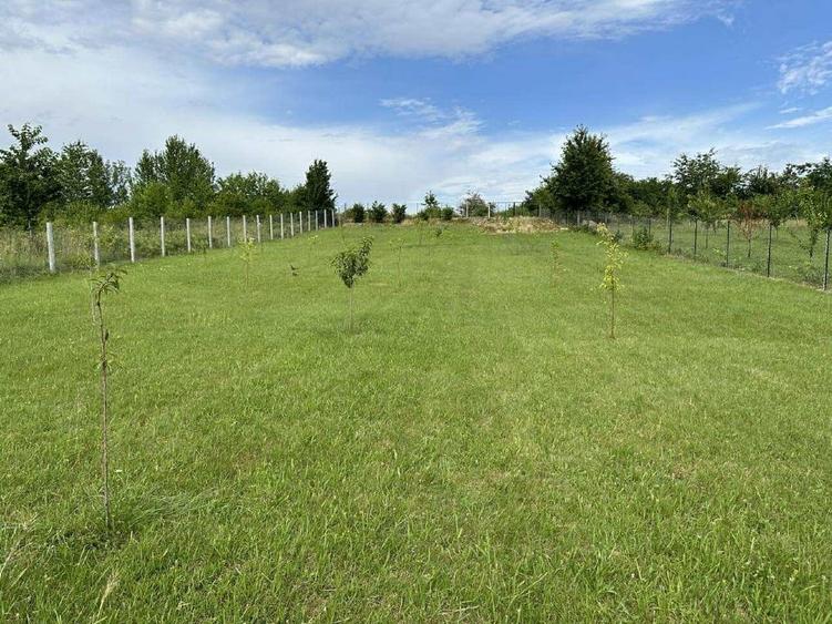 Vând 5000m pătrați teren,intravilan și extravilan. - 8