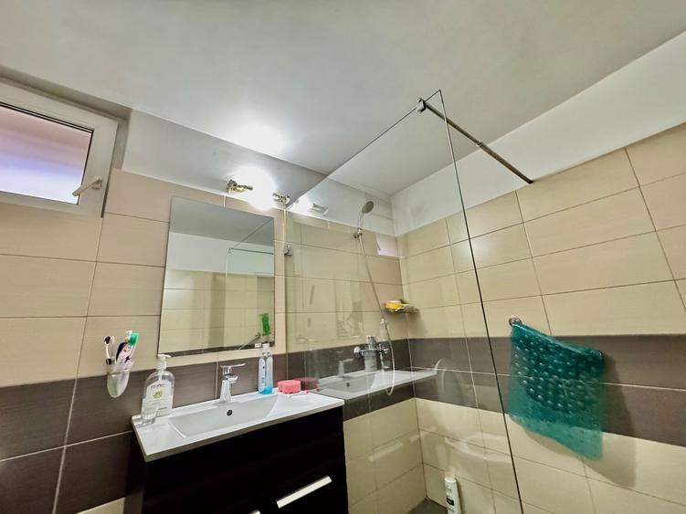 Casa individuala singura in curte, 947 mp teren, Viile Noi - 15