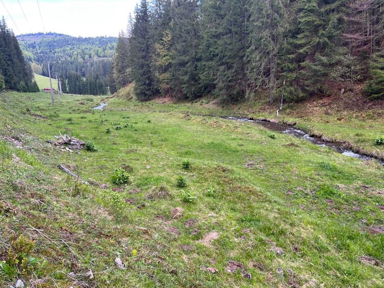 Teren intravilan Arieseni - 1250 mp - langa drum asfaltat - 7