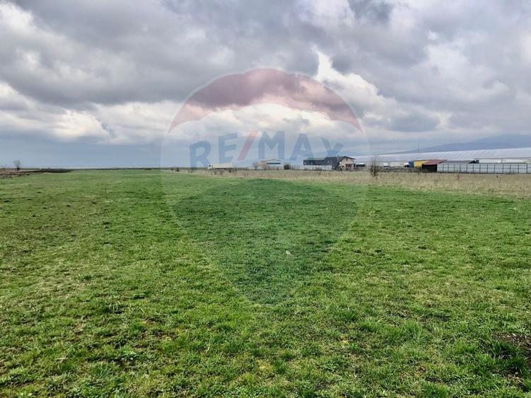 COMISION 0% | Teren intravilan | 500 mp | Utilități in apropiere - 4