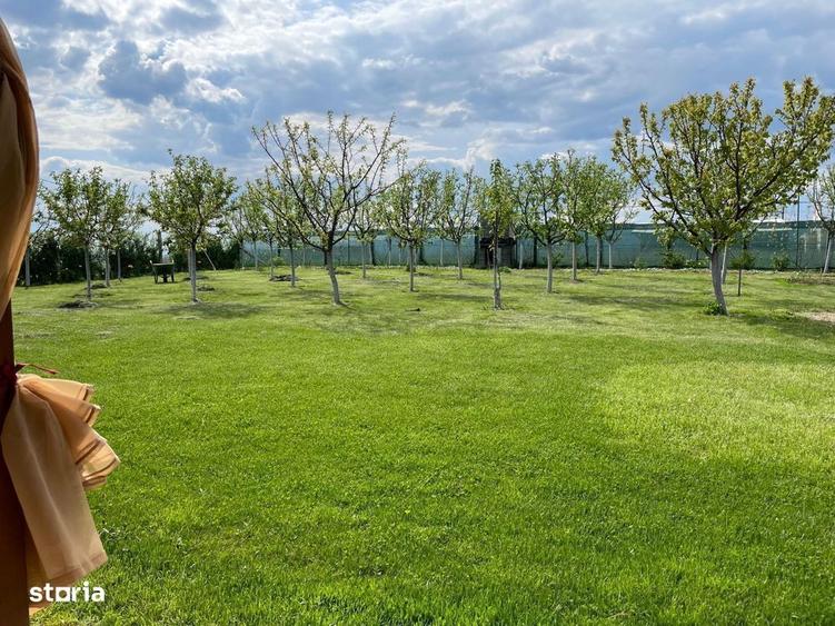 Cabana de lemn, 2 camere, teren 850 mp, livada, Oarda, Alba Iulia - 3