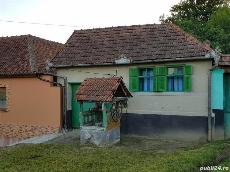 Vand casa de vacan?a Farliug - 7