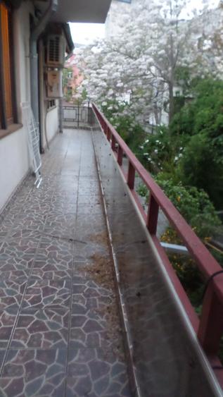 Apartament  spatios in  Vila noua, curte, multa verdeata, ultracentral, - 11