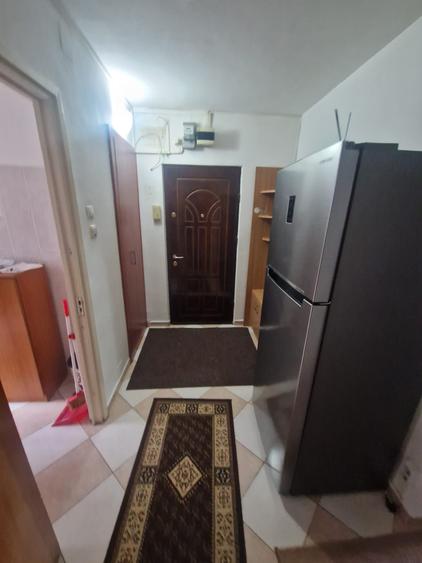 Drumul Taberei Raul Doamnei metrou! - 7