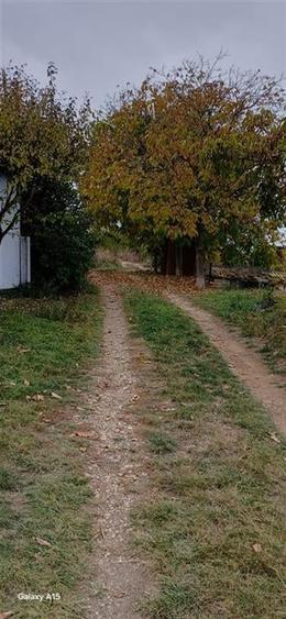 Reco Teren extravilan cu casa de vacanta in zona Episcopia - 2