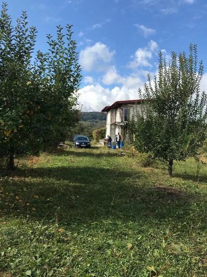 teren cu livada si casa la rosu - 3