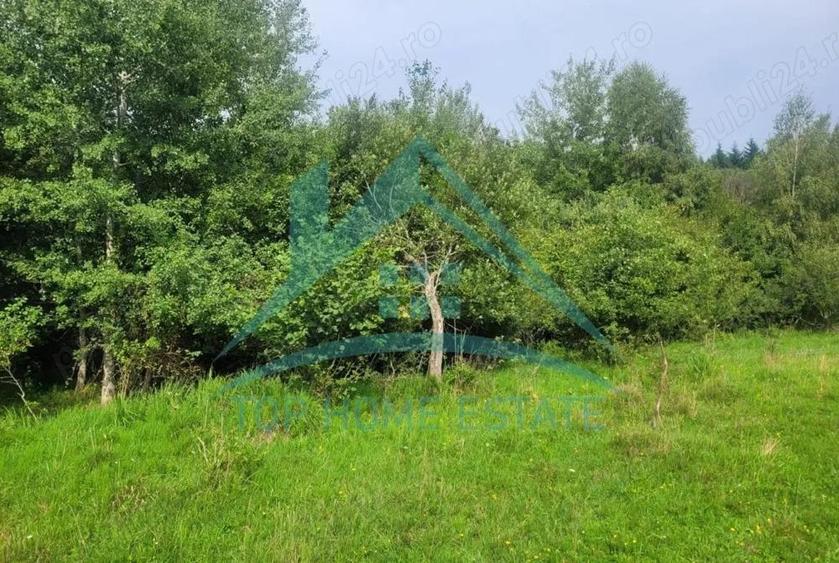 Teren pentru cabana pensiune zona Lac Micesti! - 4