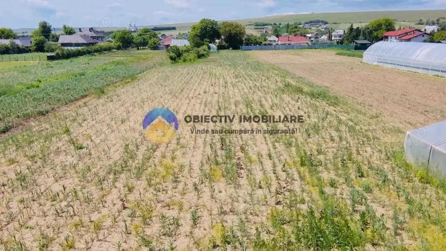 Casa tradi?ionala Bodesti - 11