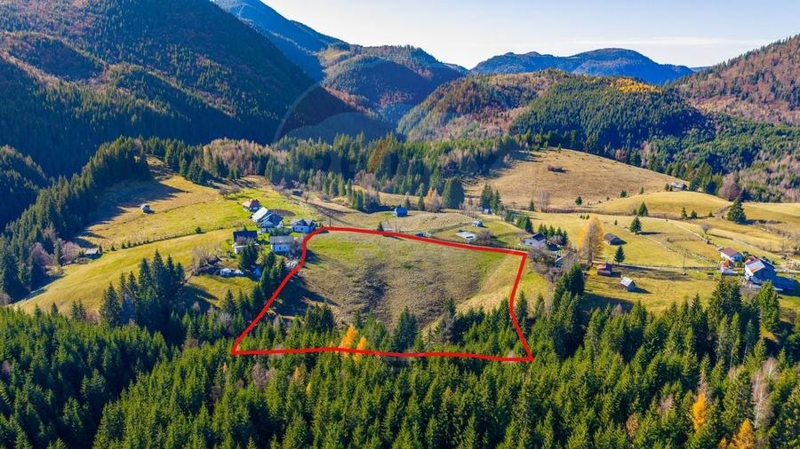 COMISION 0% Teren 13,800mp Fundatica / Intravilan - 5