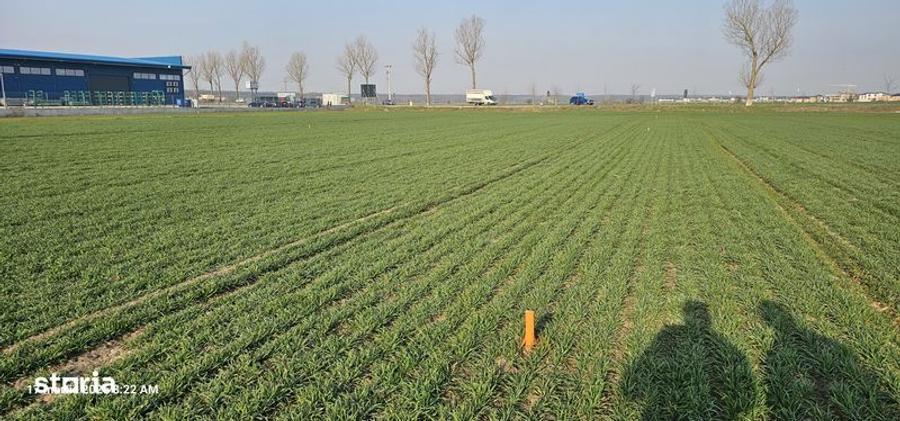 Buftea Str. Milano - 3