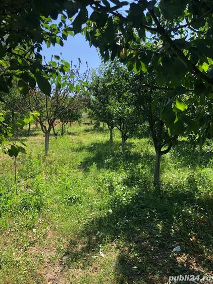 casa de vanzare Peretu - 1