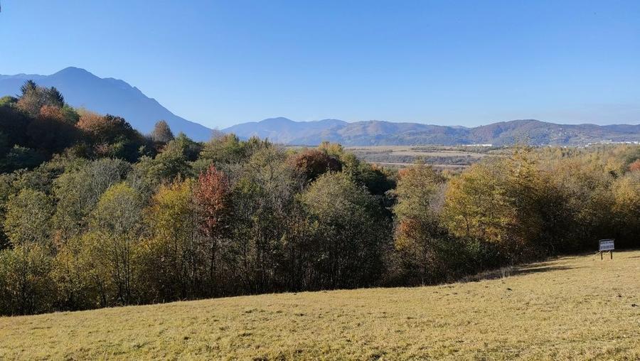 Teren zona Bran Tohanita! - 6