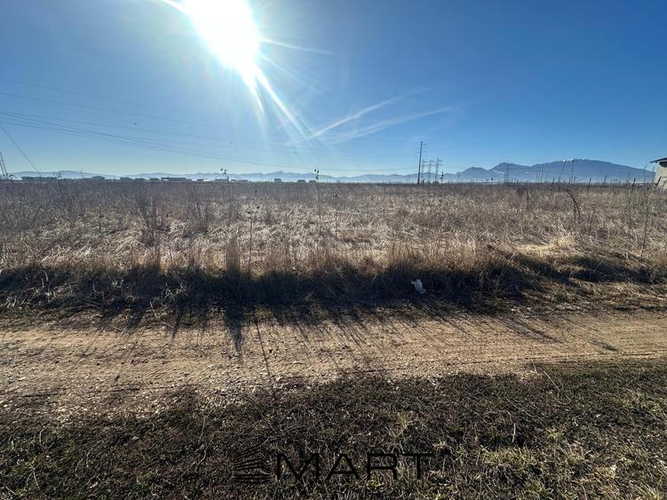 Teren Intravilan 540 mp Sanpetru - 4