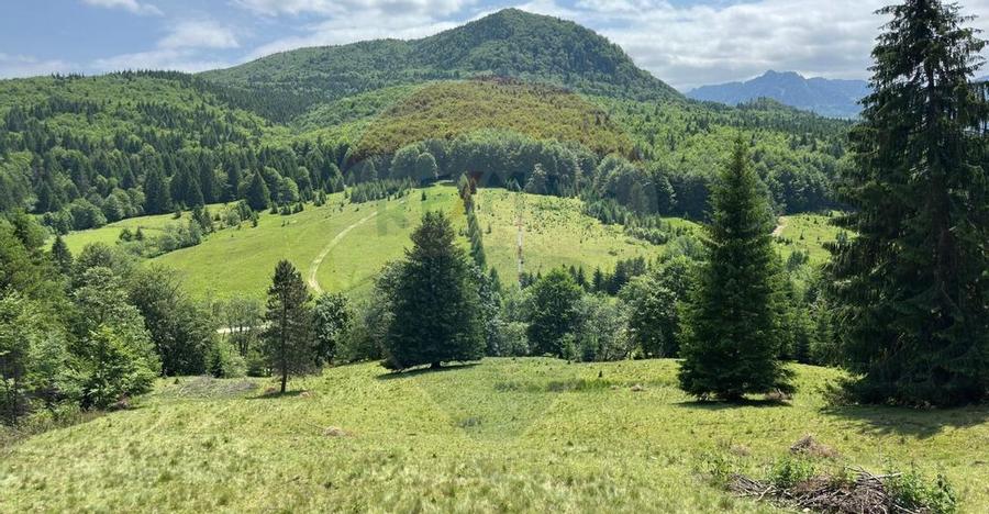 Teren 6000 mp, Vama Buzaului - vedere catre Ciuca? - 1