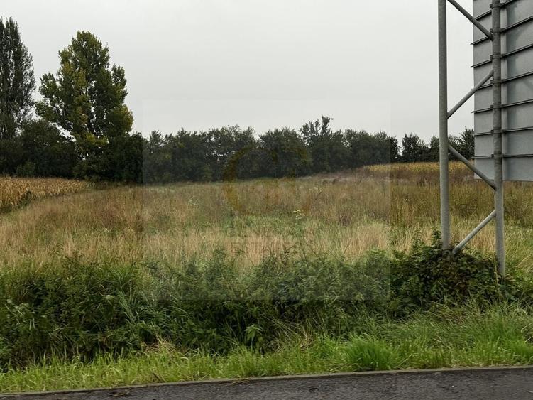 Teren intravilan - Cartier Stupini - 4