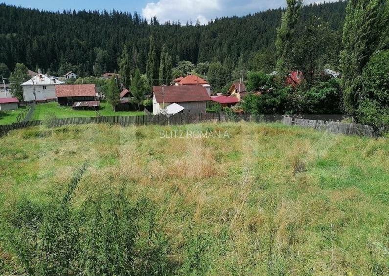 Teren Vatra Dornei 1504 mp Teren Vatra Dornei 1504 mp