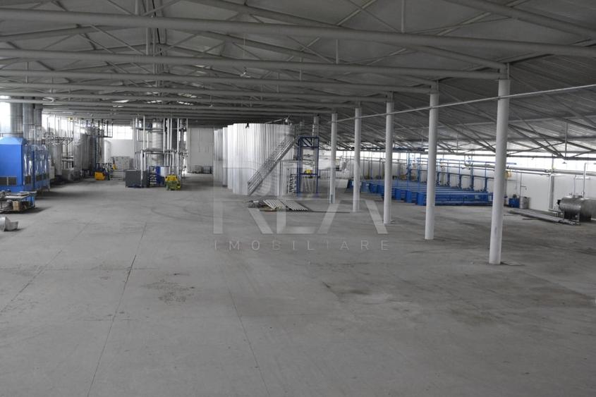 HALA FILIPESTII DE PADURE - complet echipata, pregatita pt productie sau depozit - 5