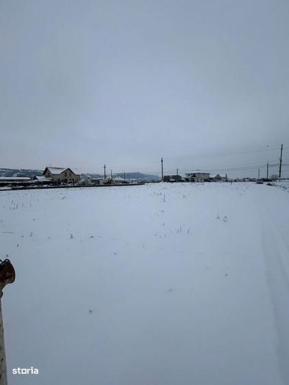 COMISION 0%!!! Teren intravilan,750 mp, in Viisoara - 1